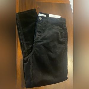 NWT Loft Skinny Velvet Pants - 8P/29
